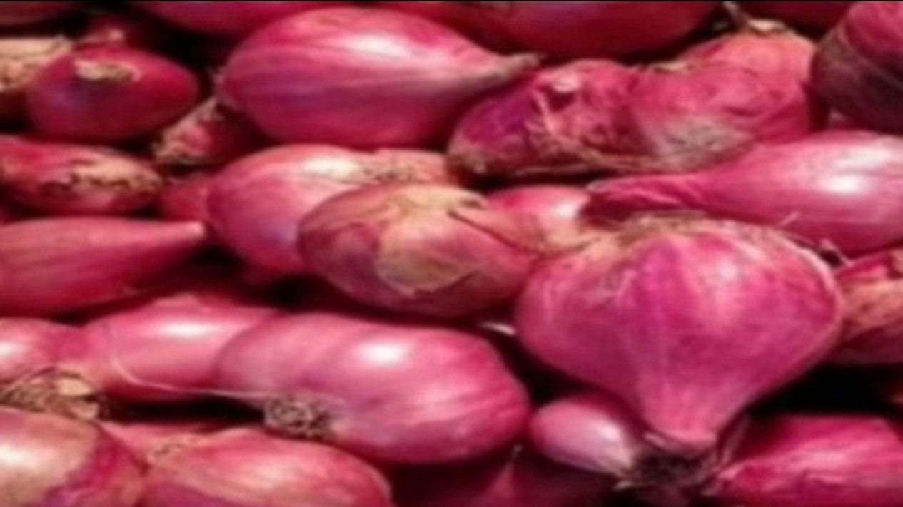Alasan Warga Pilih Beli Bawang Merah Impor: Lebih Gede dan Lebih Murah
            - galeri foto