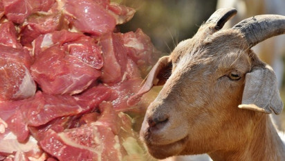Nih Cara Mudah Mengolah Daging Kambing Supaya Enggak Bau Prengus, Pakai Ramuan Murah Ini, Bisa Dibeli di Warung