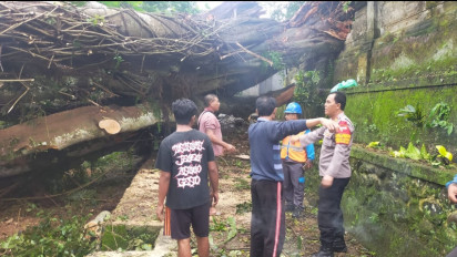 Akibat Curah Hujan Tinggi dan Angin Kencang, Pohon Beringin Diperkirakan Berusia 200 Tahun Tumbang Menimpa Pura