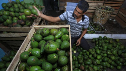 Dampak Perubahan Cuaca, Kementan Pastikan Ketersediaan dan Harga Buah Tetap Stabil