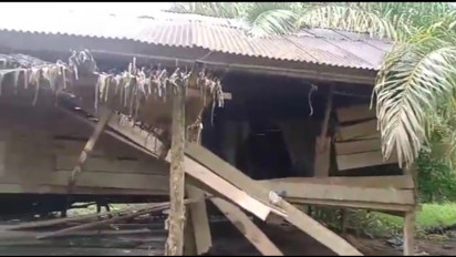 Mencekam! Kawanan Gajah Liar Obrak-abrik Perkebunan dan Rumah Warga di Aceh Timur