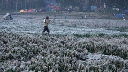 Mengenal Fenomena Embun Upas di Dieng, Cantik Tapi Mematikan Bagi Petani