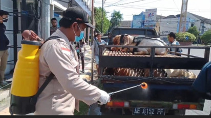 Perketat Perbatasan Jelang Idul Adha, Petugas Gabungan Temukan Seekor Sapi Terindikasi PMK