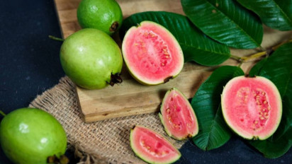 Ternyata Jus Jambu Tak Ampuh Naikkan Trombosit Saat DBD