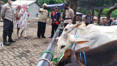 Jelang Idul Adha, Harga Sapi Kurban di Probolinggo Semakin Mahal