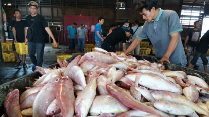 Pemerintah Targetkan Angka Konsumsi Ikan Naik Setiap Tahunnya