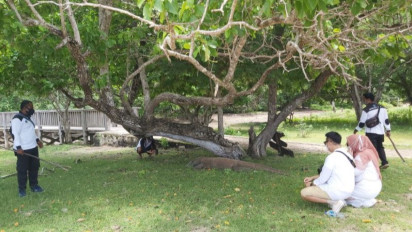 Tiket ke Pulau Komodo Bakal Naik, Ini Kata Bupati Manggarai Barat