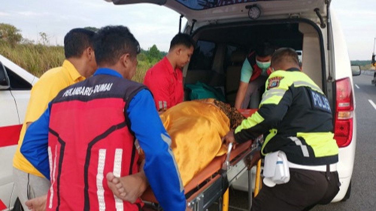 Satu Keluarga Keracunan AC Mobil di Tol Pekanbaru-Dumai, Selamat Meski Sempoyongan
            - galeri foto