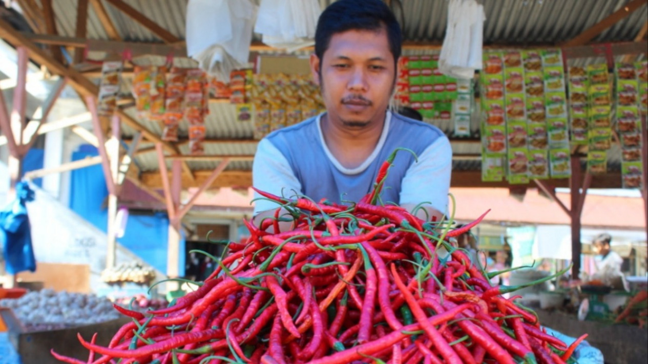 Jelang Iduladha, Harga Cabai Merah di Bener Meriah Tembus Rp130 Ribu per Kg
            - galeri foto