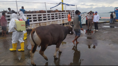 Kemenag Batam  dan Walikota Sarankan Masyarakat Tidak Wajib Berkurban Saat Wabah PMK