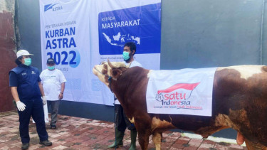 Grup Astra Serahkan 2.206 Hewan Kurban ke 34 Provinsi Jelang Iduladha