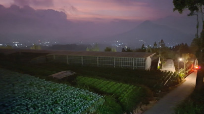 Senja di Lereng Merbabu, Penghilang Penat dan Obat Rindu Alam Pegunungan