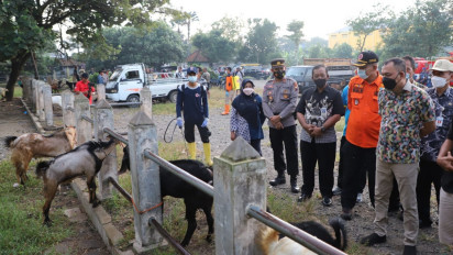 Lockdown Lokal PMK Berlaku Hari Ini, Bupati Sidak Pasar Hewan di Purworejo