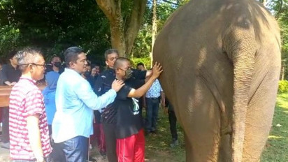 Puluhan Penyandang Disabilitas Lampung Dikenalkan pada Satwa di Taman Wisata Lembah Hijau