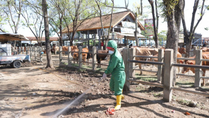 Jelang Iduladha, Petugas Gabungan di Kebumen Semprot Disinfektan di Pasar Hewan