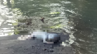Mayat Bayi Membusuk, Terdampar di Sungai Yeh Sungi Bali