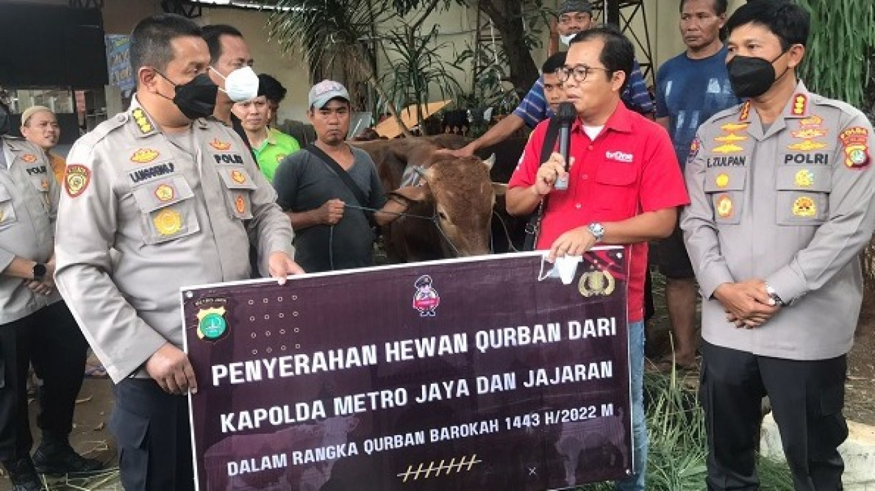 Polda Metro Jaya Qurban 165 Sapi dan 50 Kambing, 11 Ton Dagingnya Diolah Jadi Rendang
            - galeri foto