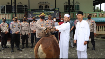 Dipastikan Bebas PMK, Polresta Tanjungpinang Serahkan Bantuan 4 Sapi Kurban untuk Masjid dan Pesantren