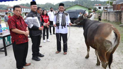 Bupati Taput Serahkan 3 Hewan Kurban ke Tokoh Agama: Mari Saling Menghormati dan Mengasihi