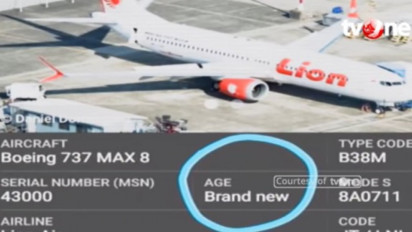 Mengenang Tragedi Jatuhnya Pesawat Lion Air JT-610 yang Dananya Diduga Ditilep ACT Senilai Rp 138 Miliar