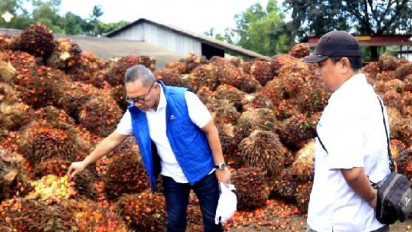 Petani di Lampung Selatan Menangis, Keluhkan Rendahnya Harga Sawit ke Menteri Perdagangan: Tolong Kami Pak