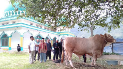 Sapi Kurban Presiden Jokowi di Aceh Tengah Dibagikan ke 400 Warga Kurang Mampu