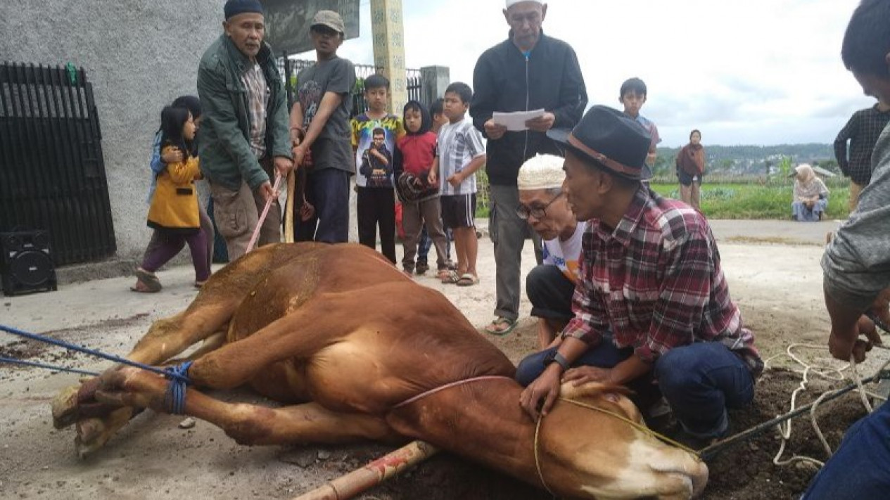 Sejarah Qurban! Kisah Ketaatan Nabi Ibrahim A.S dan Nabi Ismail A.S kepada Allah SWT
            - galeri foto