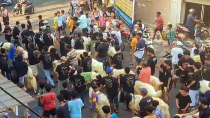 Hari Raya Qurban! 50 Ekor Kambing Diarak Warga Gresik Sebelum Disembelih