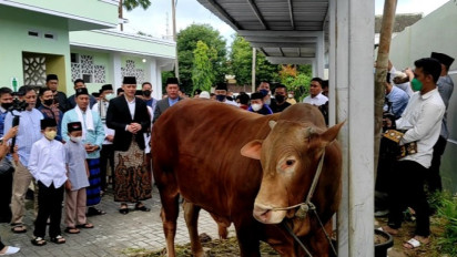 Rayakan Iduladha di Pacitan, SBY Serahkan 2 Ekor Sapi Kurban Seberat 1 Ton