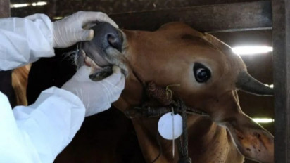 DKP Terjunkan 289 Petugas Pantau PMK Saat Penyembelihan Hewan Kurban