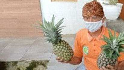 Penjual Nanas dan Arang Kebanjiran Pembeli Saat Iduladha