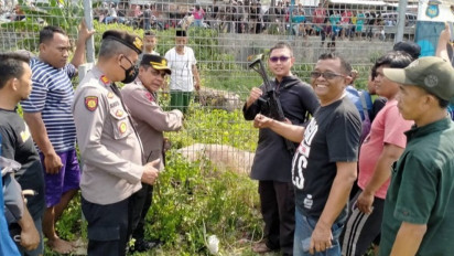Kerbau Kurban Ngamuk Dekat Pagar Bandara Soetta, 1 Orang Luka Berat, Langsung Ditembak Polisi