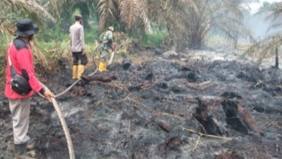 Kebakaran Lahan Meluas, BPBD Riau Kerahkan Helikopter Water Boombing