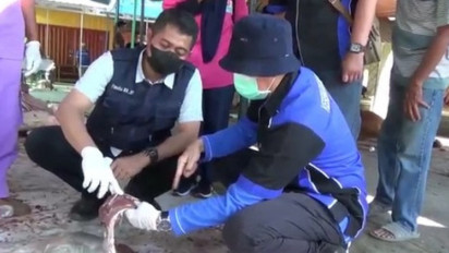 Petugas Temukan 7 Kasus Cacing Hati pada Hewan Kurban di Kendal