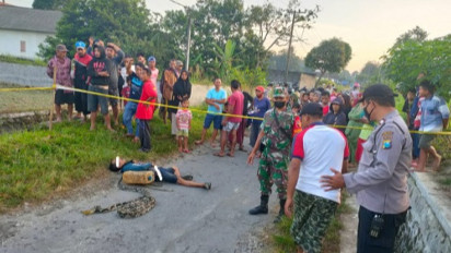Seorang Warga di Nglegok Blitar Tewas Dililit Ular Piton Sepanjang 4 Meter