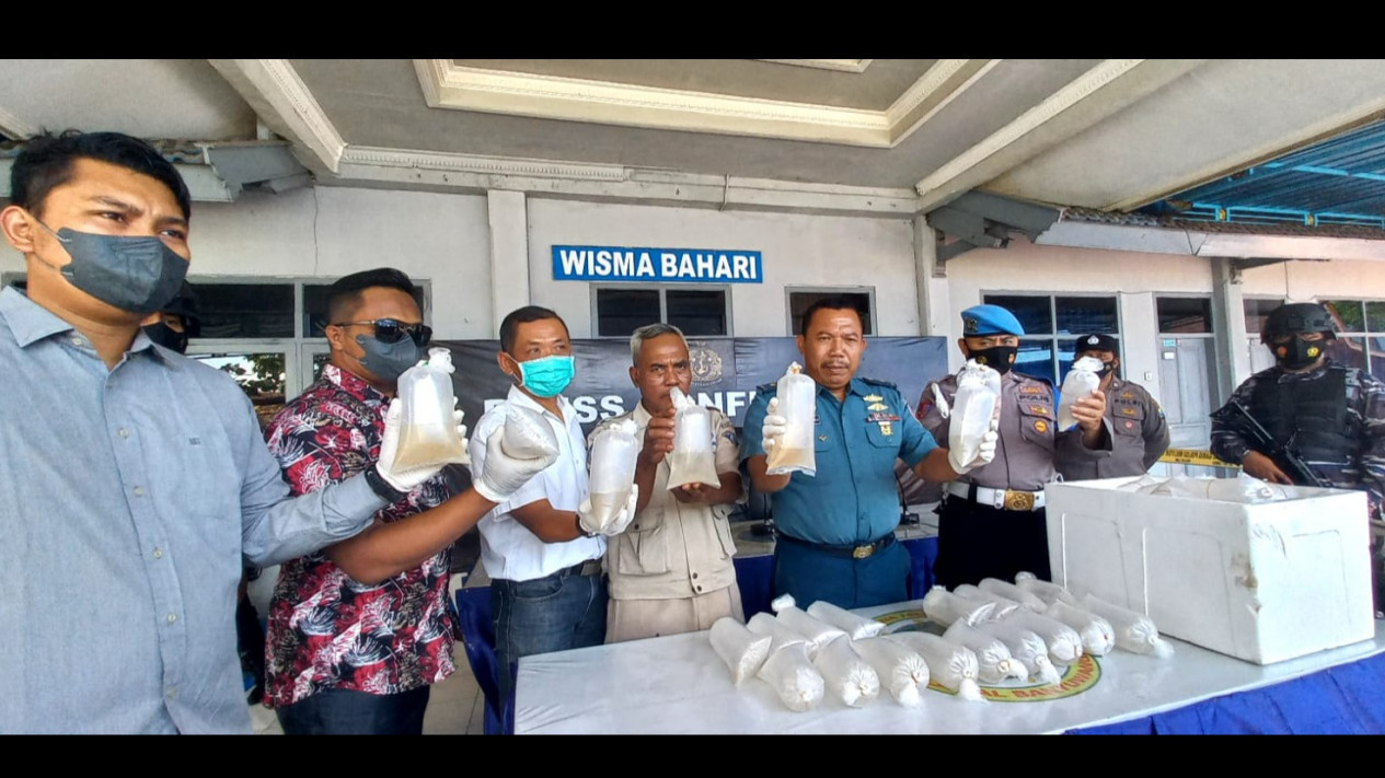 Upaya Pengiriman Ribuan Benur Lobster Senilai 80 Juta Rupiah Digagalkan Personel TNI AL
            - galeri foto