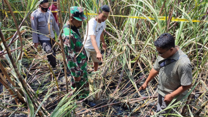 Seorang Kakek Ditemukan Tewas Terbakar di Lahan Tebu, Tak Jauh dari Rumahnya