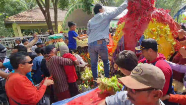 Berharap Berkah, Ratusan Warga Pati Berebut Gunungan Hasil Bumi dan Tumpeng