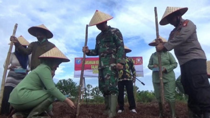 100 Hektare Lahan Tidur di Kotawaringin Timur Ditanami Jagung