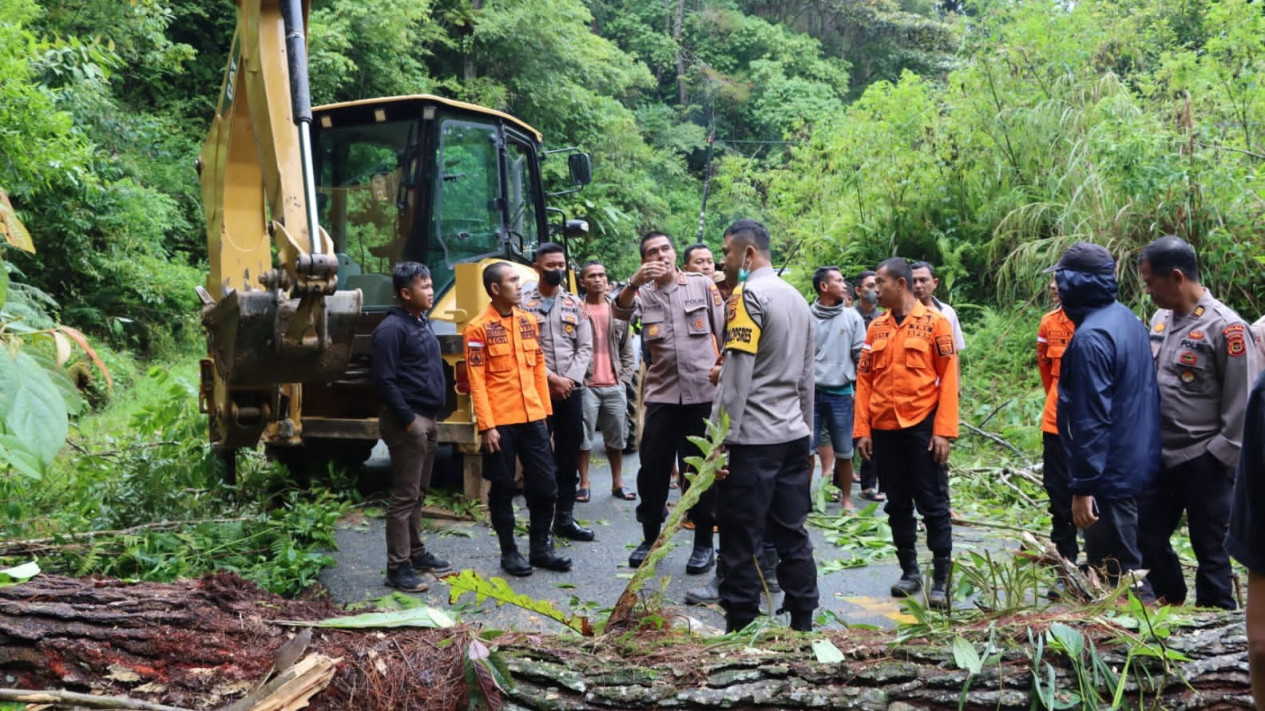 Jalan Nasional Kerinci Sumbar via Tapan Longsor, Akses Transportasi Lumpuh
            - galeri foto