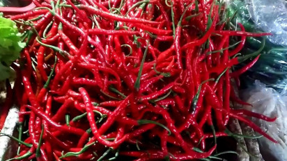 Harga Cabai di Kendal Masih Pedas Ini Sebabnya