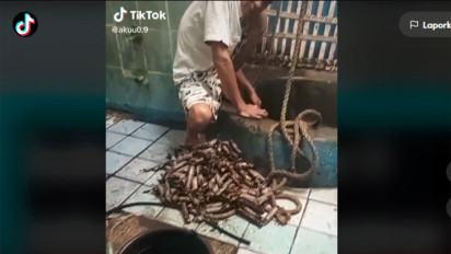 Nabung Uang di Sumur Selama Dua Tahun, Ternyata Alasannya Mengejutkan