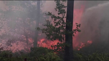 Kebakaran Hutan Dua Wilayah di Barat Daya Prancis Meluas, 14 Ribu Hektare Lahan Lebih Terbakar, Ribuan Orang Dievakuasi