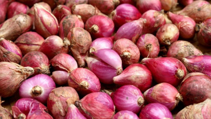 Nih Manfaat Dahsyat Bawang Merah untuk Kesehatan, Badan Fit, Keluhan-keluhan Ini pun Bakal Minggat dari Tubuh Anda