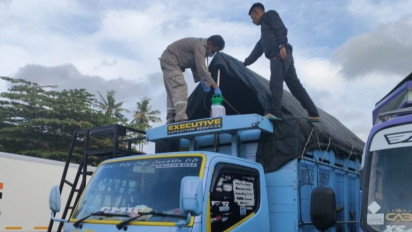 Karantina Pertanian Tolak Masuk Babi Asal Jembrana Bali