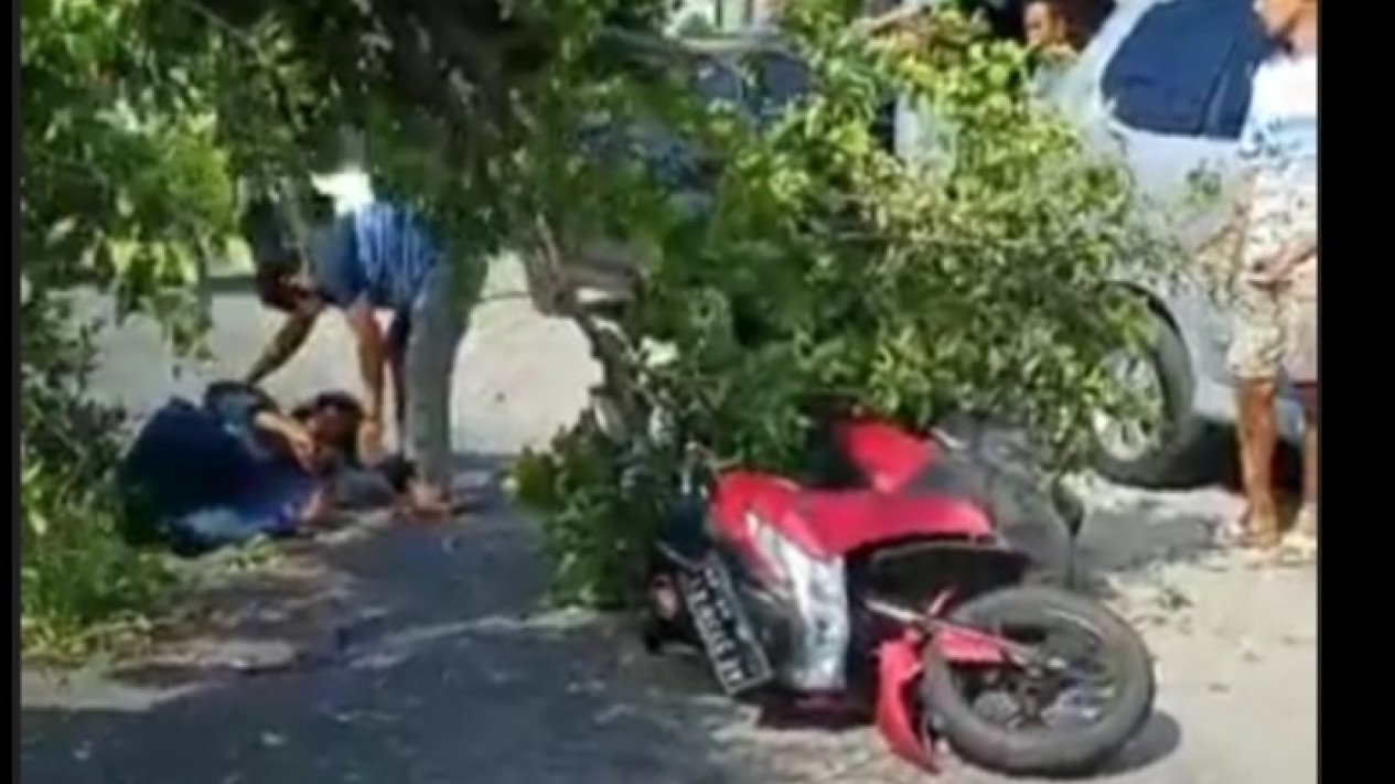 Lapuk Dimakan Usia, Pohon Beringin Tumbang Timpa Pengendara Motor
            - galeri foto