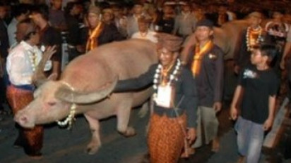 Yuk Ketahui Tradisi Suro atau 1 Muharram dalam Masyarakat Jawa