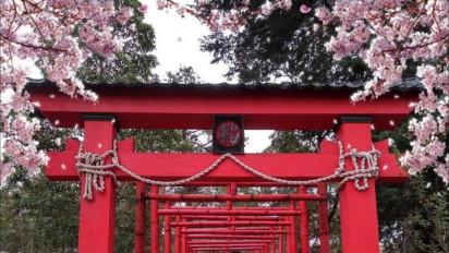 Wajib Dikunjungi! 3 Destinasi Wisata Menarik di Lereng Gunung Lawu Dengan Pemandangan Yang Sangat Memukau