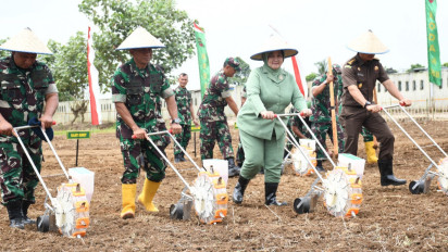 Pangdam Dan Wamentan RI Canangkan Demplot Ketahanan Seluas 113,59 Ha