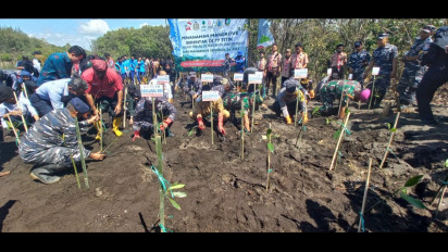 Cegah Abrasi dan Ekosistem Laut, Puluhan Pelajar dan Mahasiswa Tanam Ribuan Pohon Mangrove